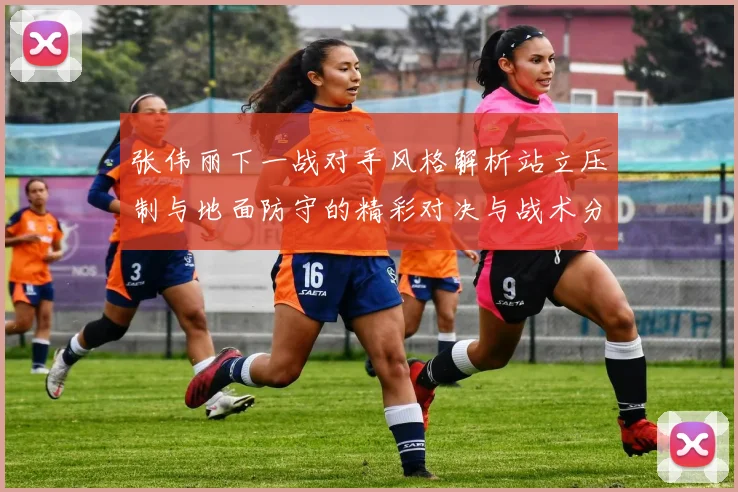 张伟丽下一战对手风格解析站立压制与地面防守的精彩对决与战术分析